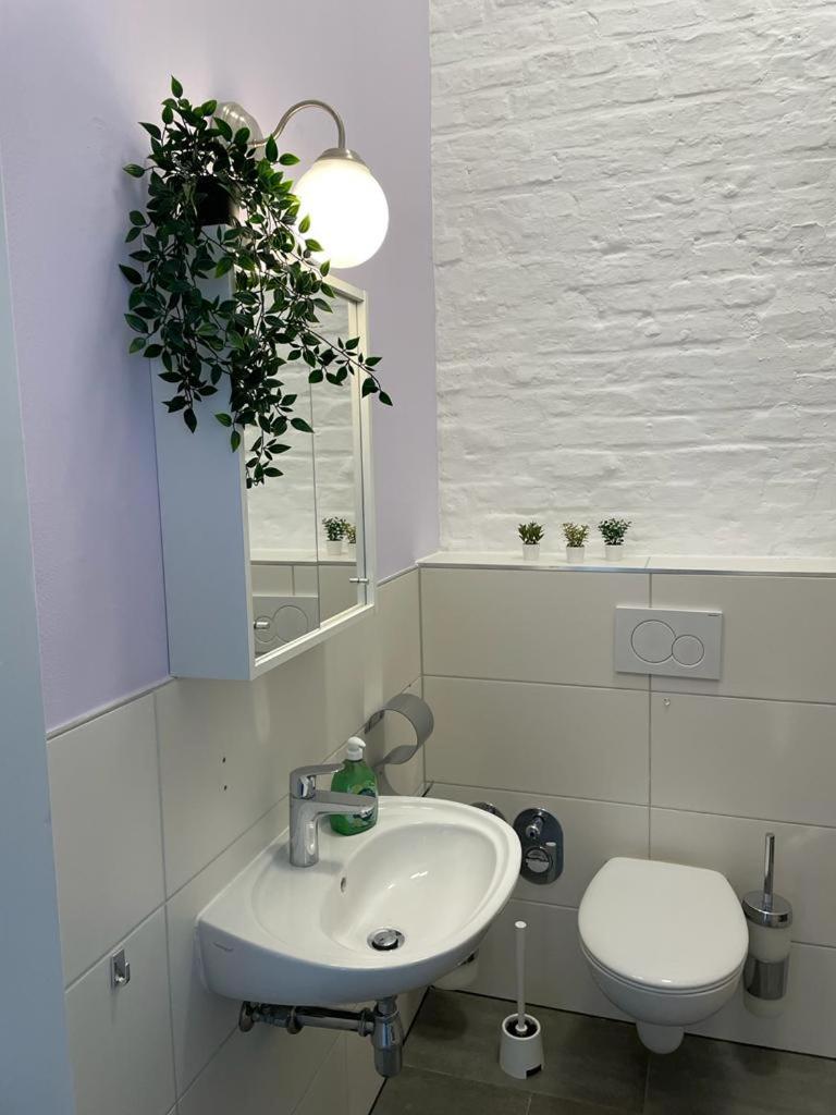 Cityperle - Ruhige Naehe Dom & Altstadt - Appartement